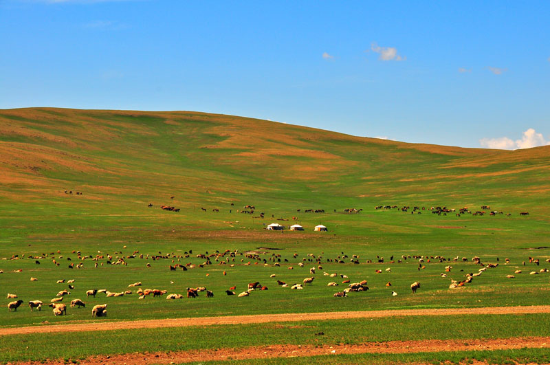 Mongolia